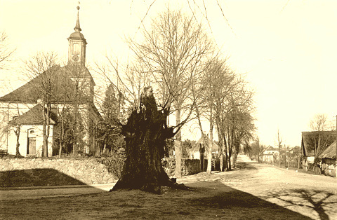 Dorfansicht mit R&uuml;ster und  Kirche um 1920